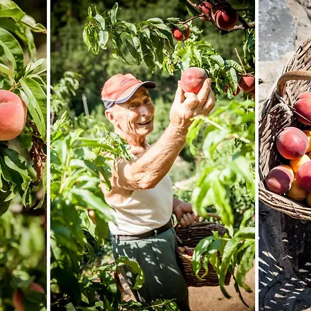 מלון Da Gin Colletta