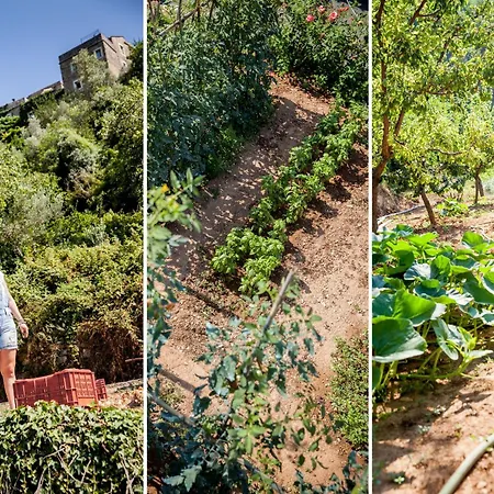 Hotel Da Gin Colletta