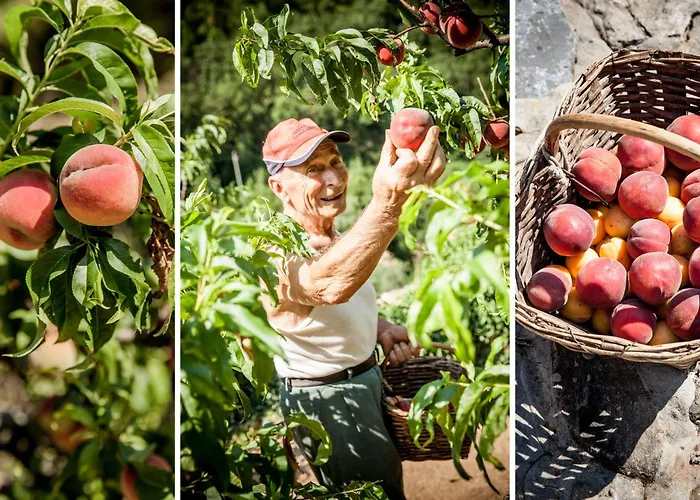 호텔 Da Gin Colletta