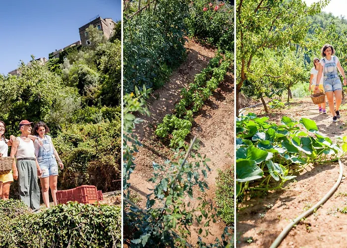 호텔 Da Gin Colletta